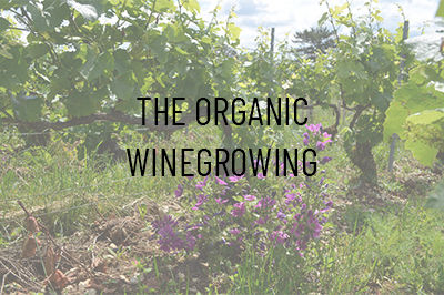 The Organic Winegrowing
