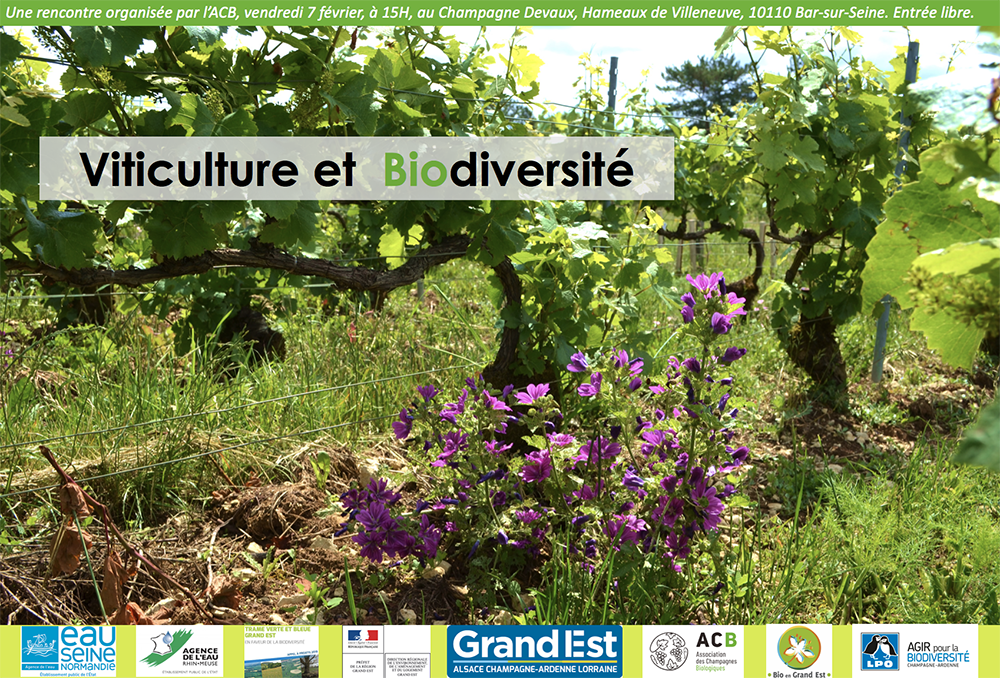 Rencontre Viticulture et Biodiversité 2020