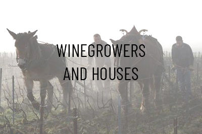 Winegrowers and Houses