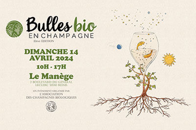 Bulles Bio en Champagne 2024